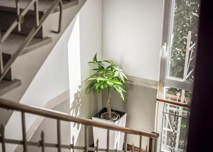 Cucchiarti 3a Appartamento